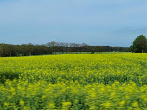 RTF Buxtehude 2010 052